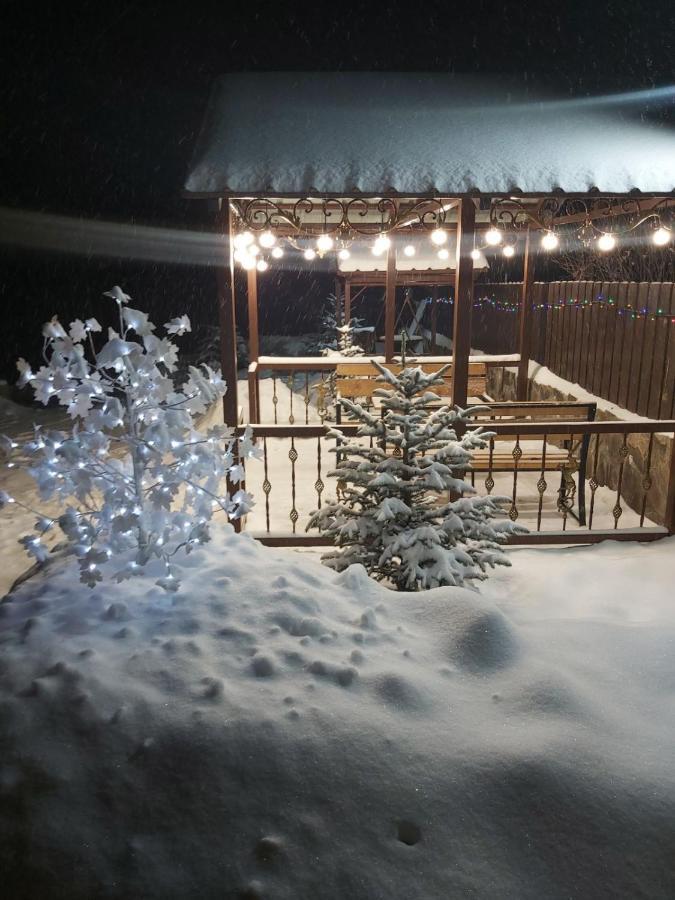 Konstantine'S Chalet Bakoerjani Buitenkant foto